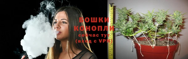 прущая мука Снежногорск