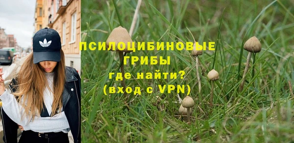 дживик Алексин
